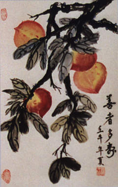 善者多壽---張洪才